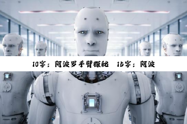 10字：阿波罗手臂探秘
